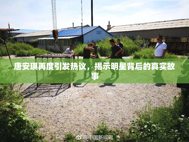 唐安琪再度引发热议，揭示明星背后的真实故事