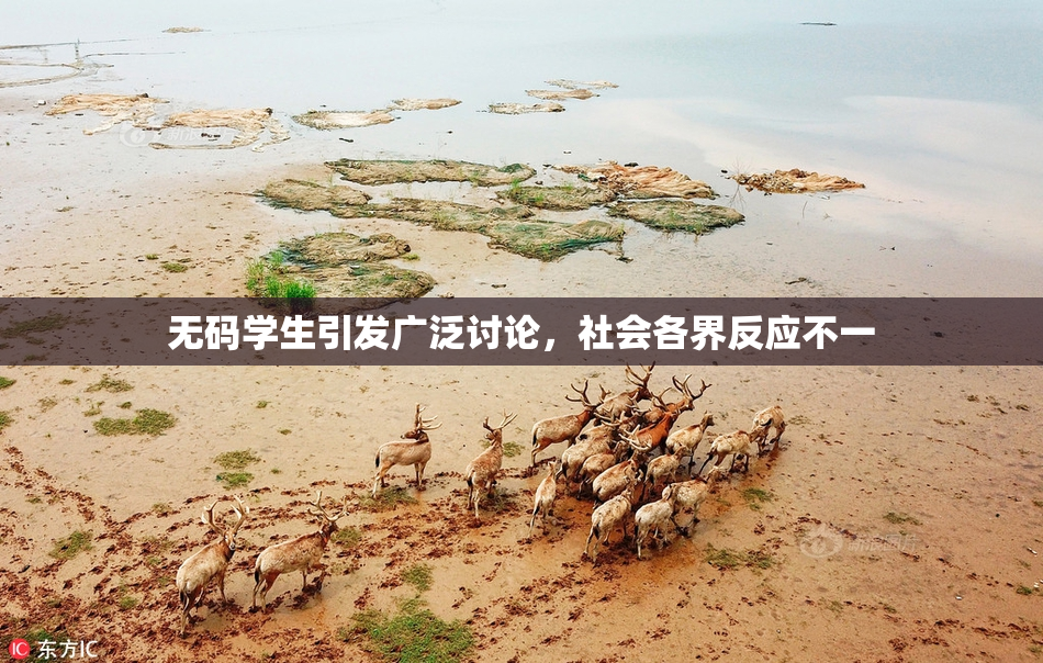 无码学生引发广泛讨论，社会各界反应不一