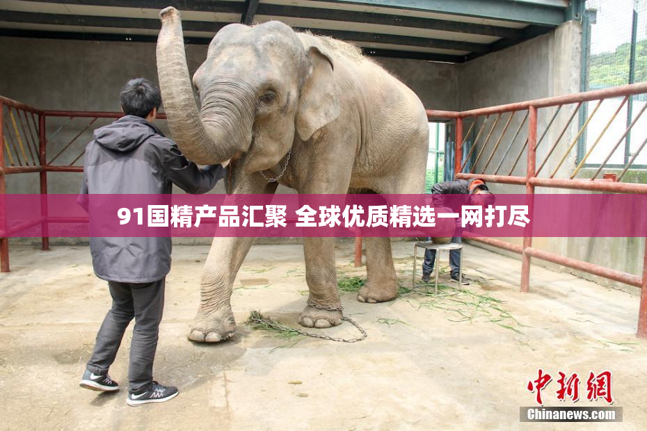 91国精产品汇聚 全球优质精选一网打尽