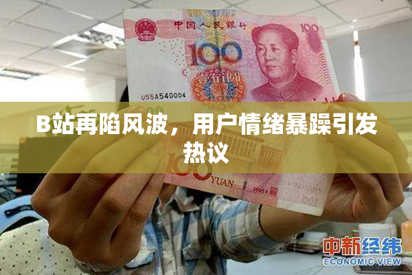 B站再陷风波，用户情绪暴躁引发热议