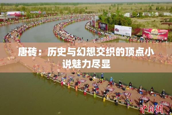唐砖：历史与幻想交织的顶点小说魅力尽显