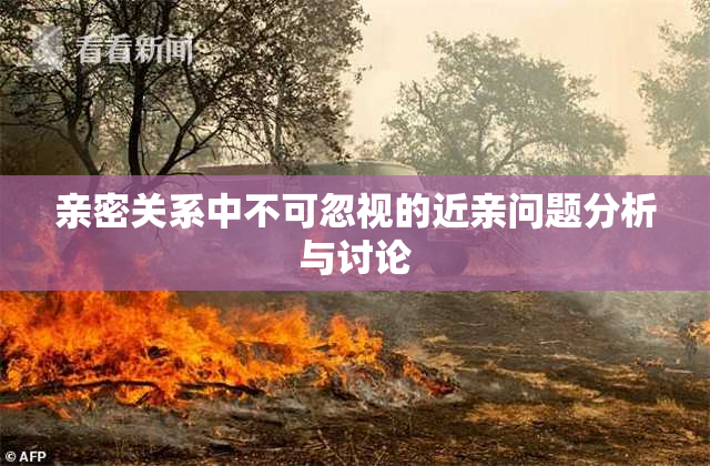 亲密关系中不可忽视的近亲问题分析与讨论