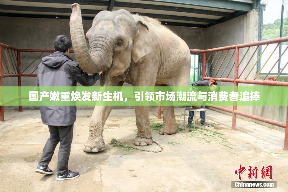 国产嫩重焕发新生机，引领市场潮流与消费者追捧