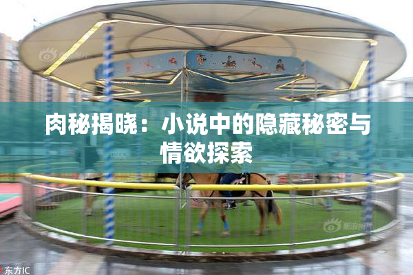肉秘揭晓：小说中的隐藏秘密与情欲探索