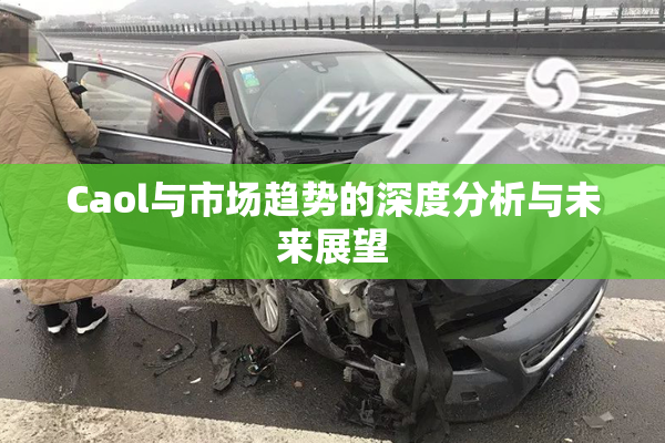 Caol与市场趋势的深度分析与未来展望