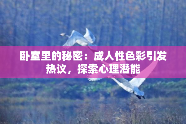 卧室里的秘密：成人性色彩引发热议，探索心理潜能