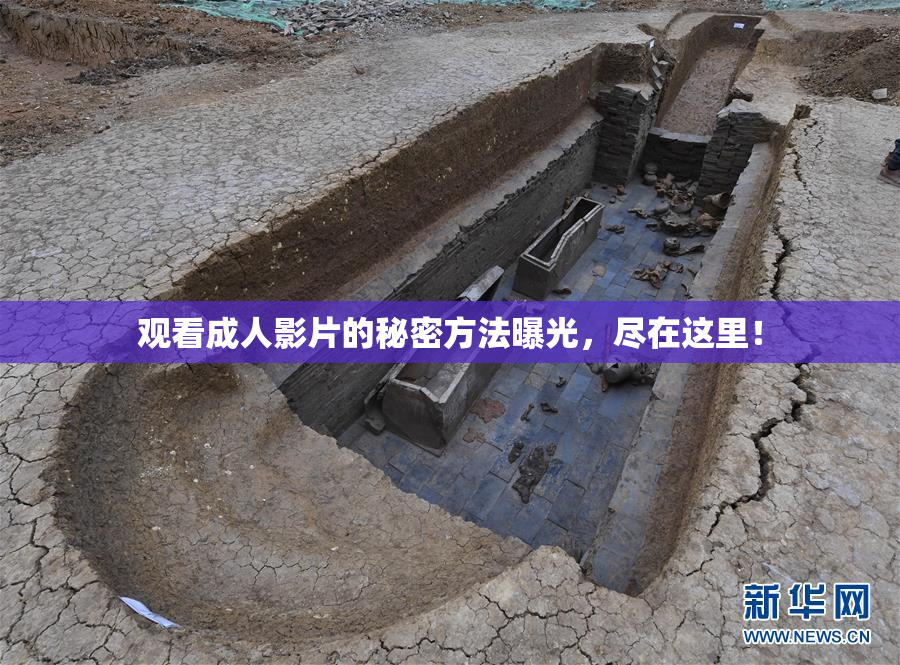 观看成人影片的秘密方法曝光，尽在这里！