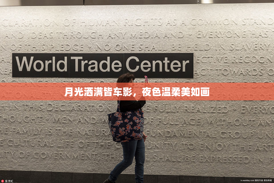 月光洒满皆车影，夜色温柔美如画