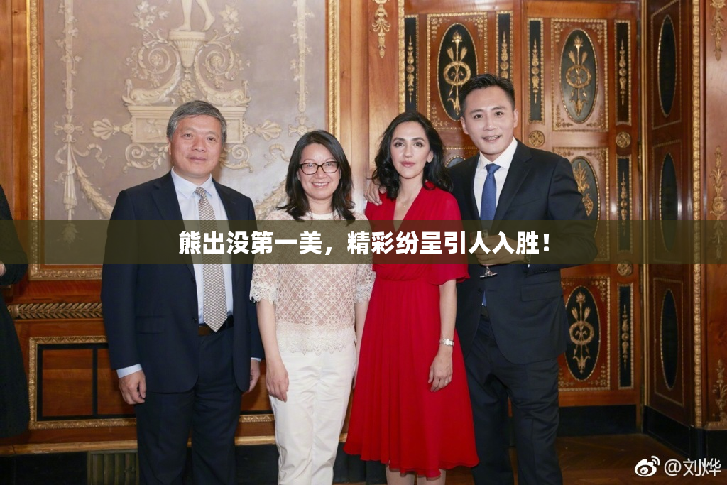 熊出没第一美，精彩纷呈引人入胜！