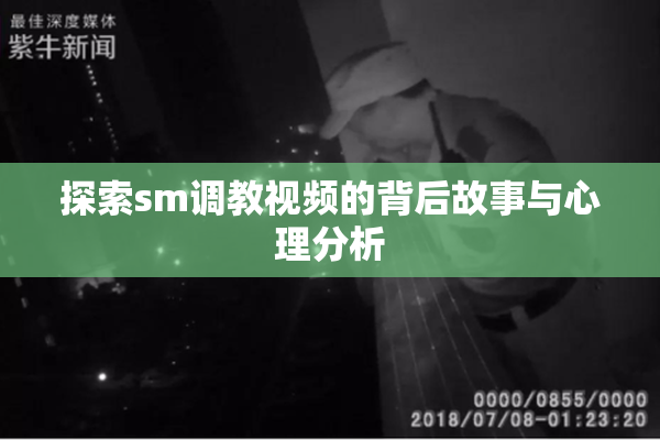 探索sm调教视频的背后故事与心理分析