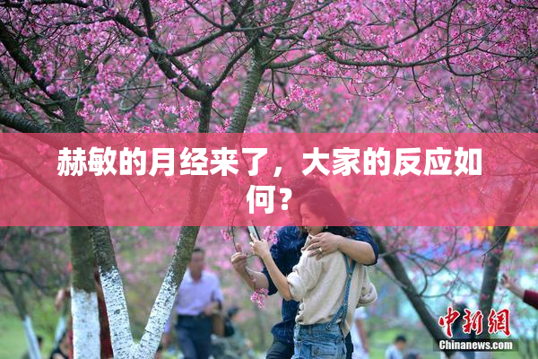 赫敏的月经来了，大家的反应如何？
