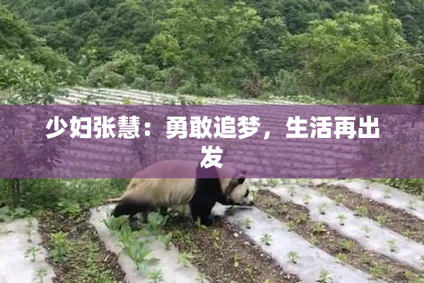 少妇张慧：勇敢追梦，生活再出发