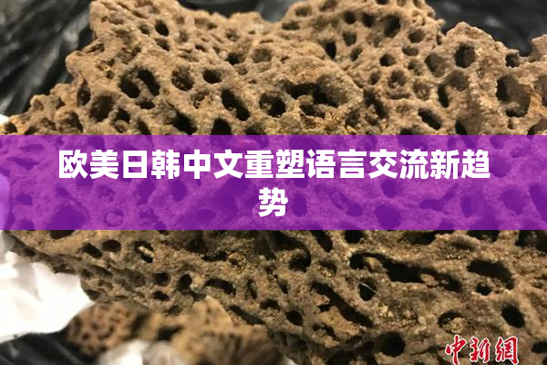 欧美日韩中文重塑语言交流新趋势