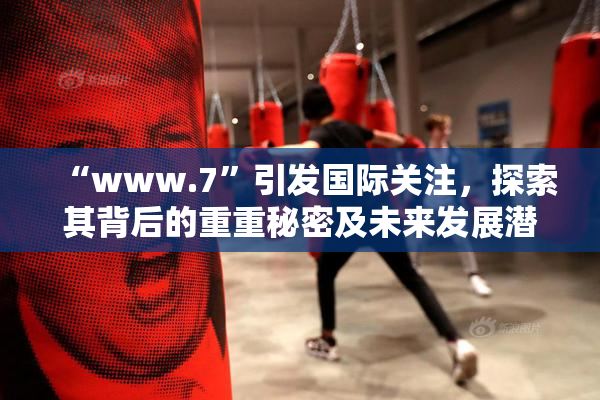 “www.7”引发国际关注，探索其背后的重重秘密及未来发展潜力。