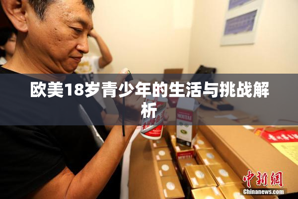 欧美18岁青少年的生活与挑战解析