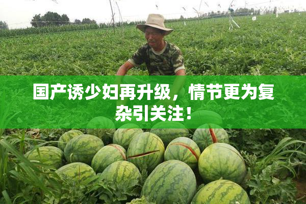 国产诱少妇再升级，情节更为复杂引关注！