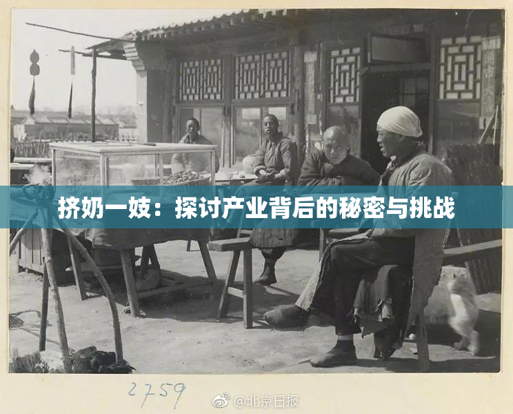 挤奶一妓：探讨产业背后的秘密与挑战