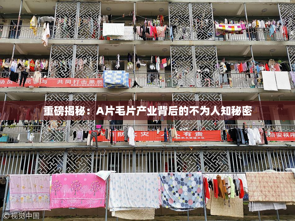 重磅揭秘：A片毛片产业背后的不为人知秘密