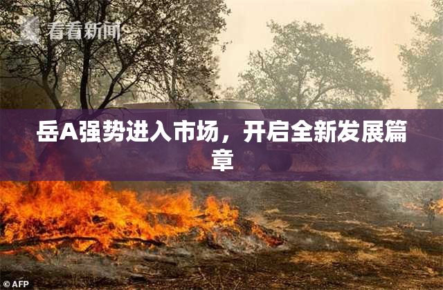 岳A强势进入市场，开启全新发展篇章