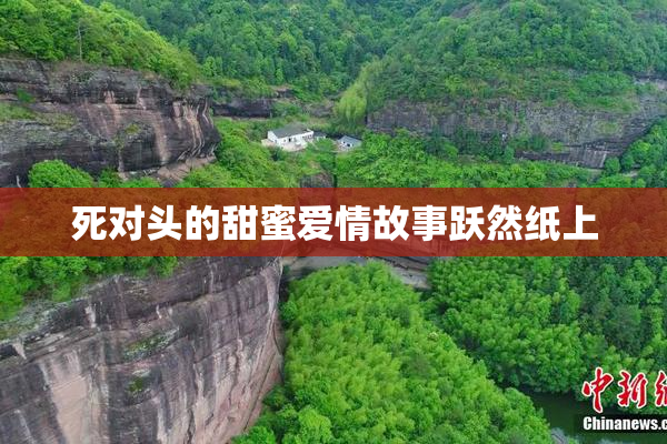 死对头的甜蜜爱情故事跃然纸上