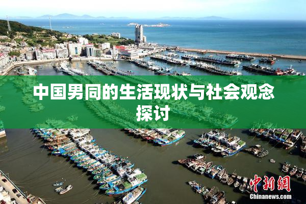 中国男同的生活现状与社会观念探讨