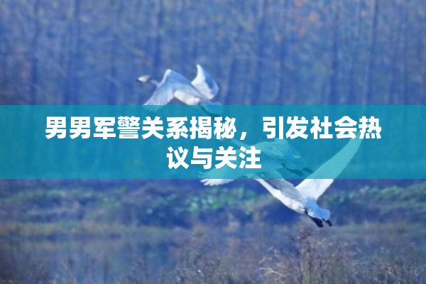 男男军警关系揭秘，引发社会热议与关注
