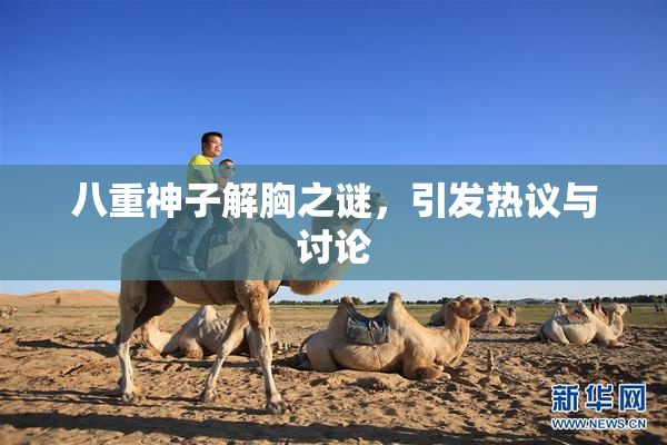 八重神子解胸之谜，引发热议与讨论