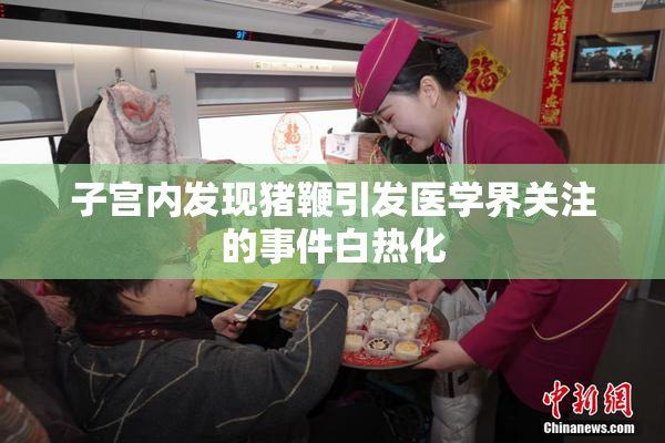 子宫内发现猪鞭引发医学界关注的事件白热化