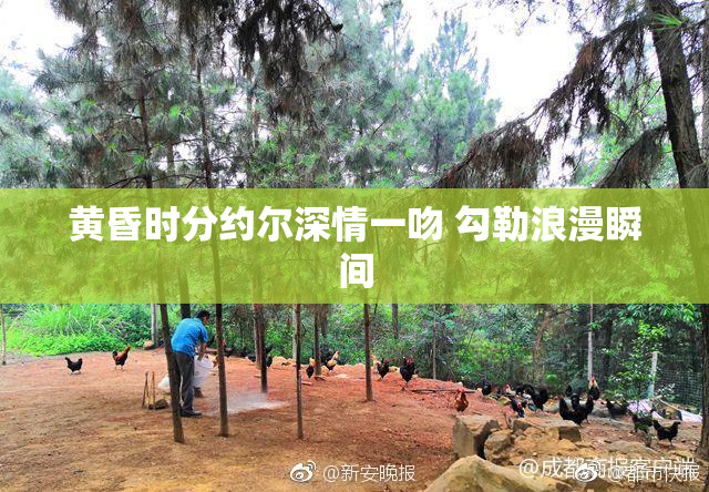 黄昏时分约尔深情一吻 勾勒浪漫瞬间