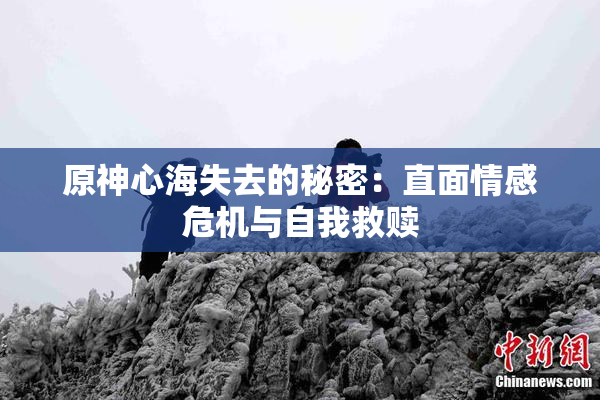 原神心海失去的秘密：直面情感危机与自我救赎