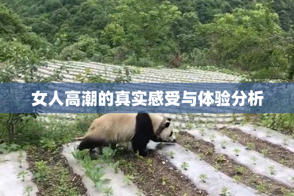 女人高潮的真实感受与体验分析