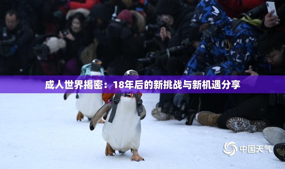 成人世界揭密：18年后的新挑战与新机遇分享