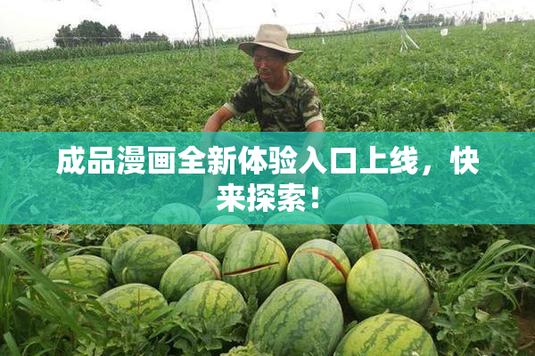 成品漫画全新体验入口上线，快来探索！