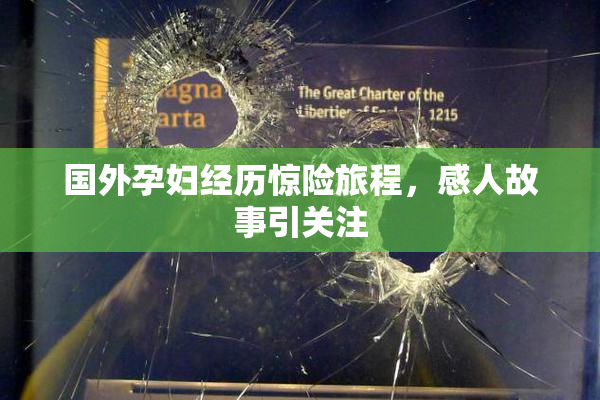 国外孕妇经历惊险旅程，感人故事引关注