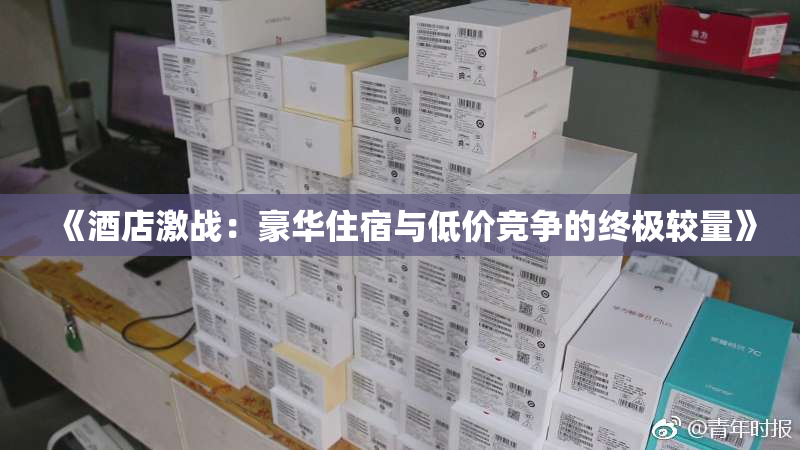 《酒店激战：豪华住宿与低价竞争的终极较量》