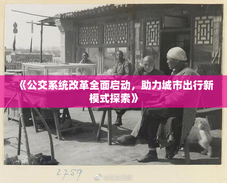 《公交系统改革全面启动，助力城市出行新模式探索》