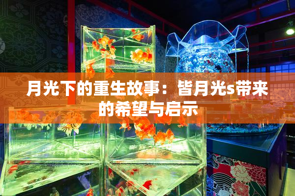 月光下的重生故事：皆月光s带来的希望与启示