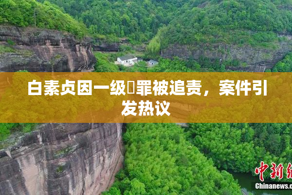 白素贞因一级婬罪被追责，案件引发热议