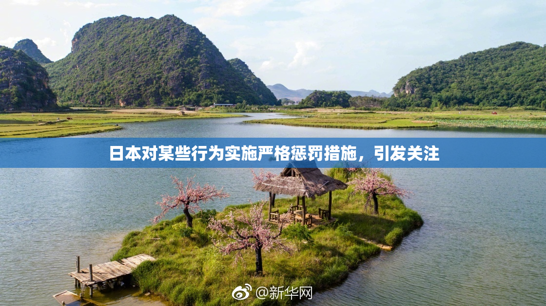 日本对某些行为实施严格惩罚措施，引发关注