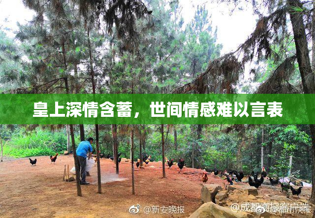 皇上深情含蓄，世间情感难以言表