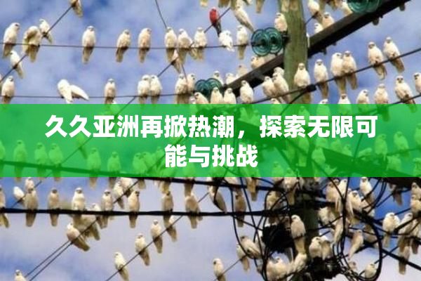 久久亚洲再掀热潮，探索无限可能与挑战