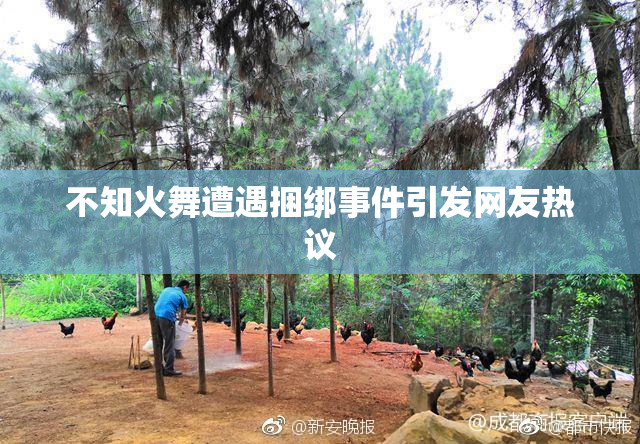 不知火舞遭遇捆绑事件引发网友热议