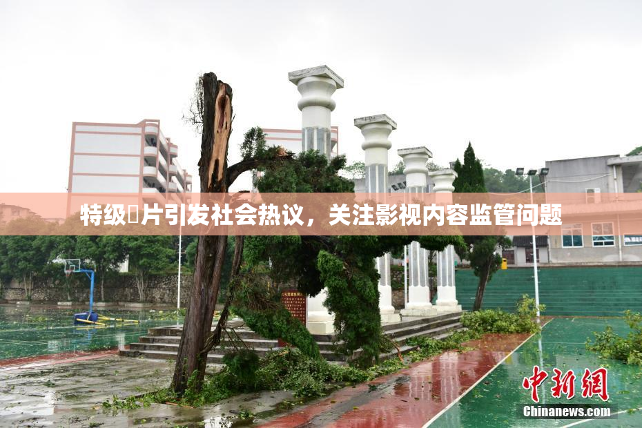 特级婬片引发社会热议，关注影视内容监管问题