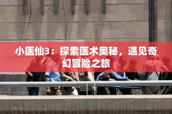 小医仙3：探索医术奥秘，遇见奇幻冒险之旅