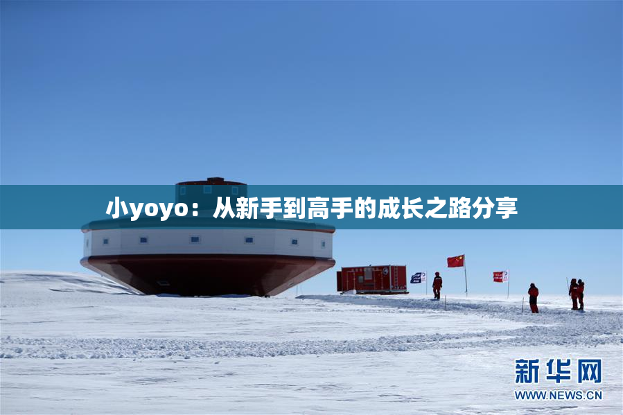 小yoyo：从新手到高手的成长之路分享