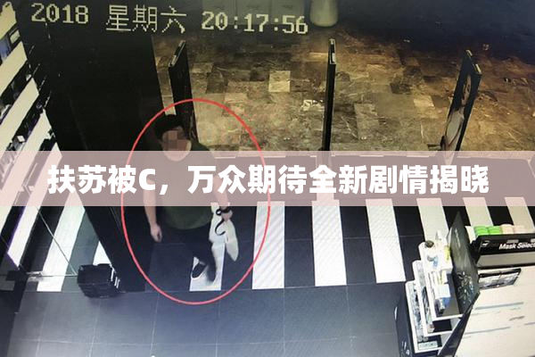 扶苏被C，万众期待全新剧情揭晓