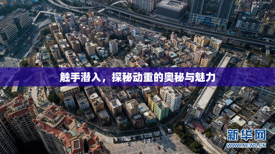 触手潜入，探秘动重的奥秘与魅力
