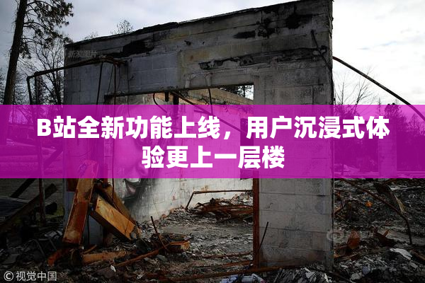 B站全新功能上线，用户沉浸式体验更上一层楼