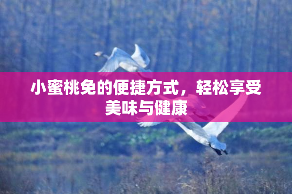 小蜜桃免的便捷方式，轻松享受美味与健康
