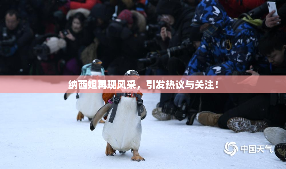 纳西妲再现风采，引发热议与关注！